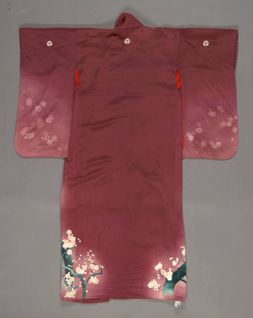 Furisode or kimono