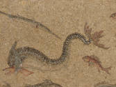 recto detail