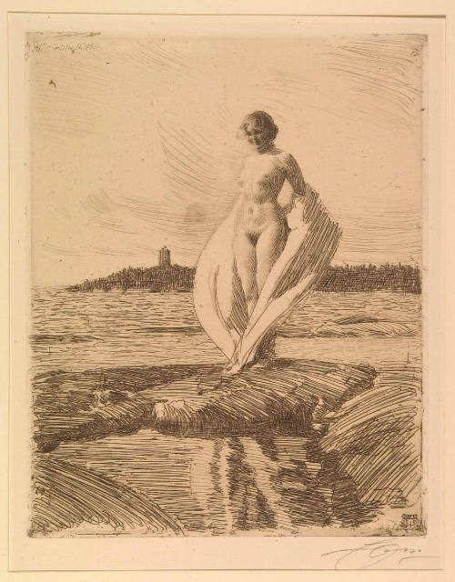 The Swan