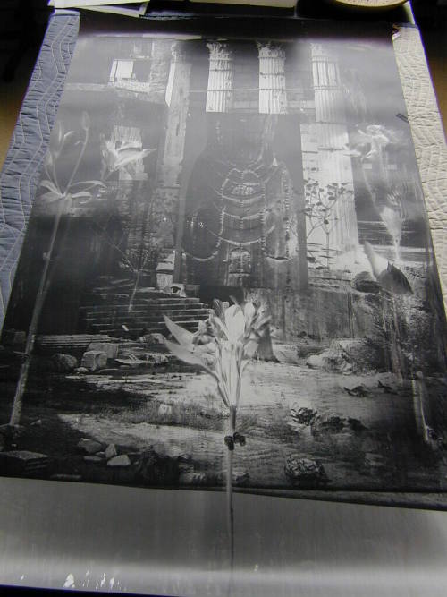 Chinese Sculpture in Roman Forum