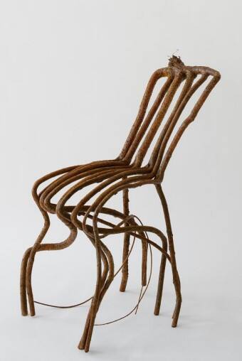 The "Goodall" Chair
