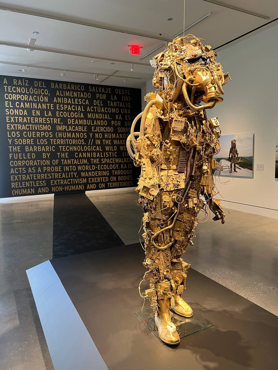Image from gallery,  not for public use