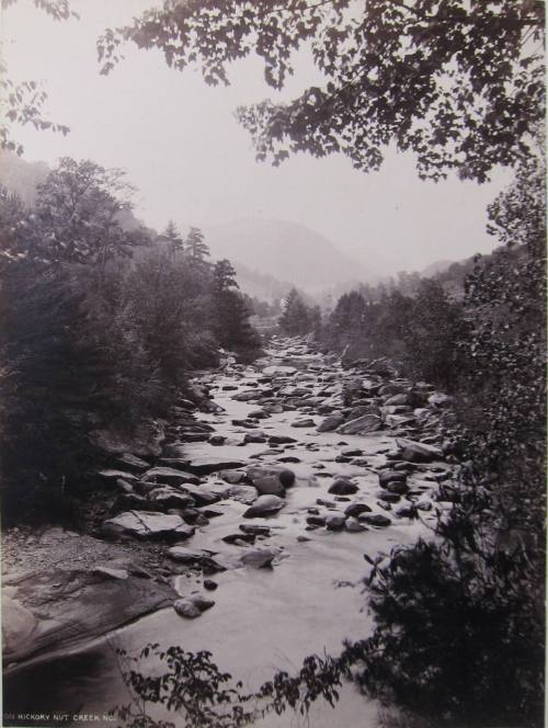 On Hickory Nut Creek, North Carolina