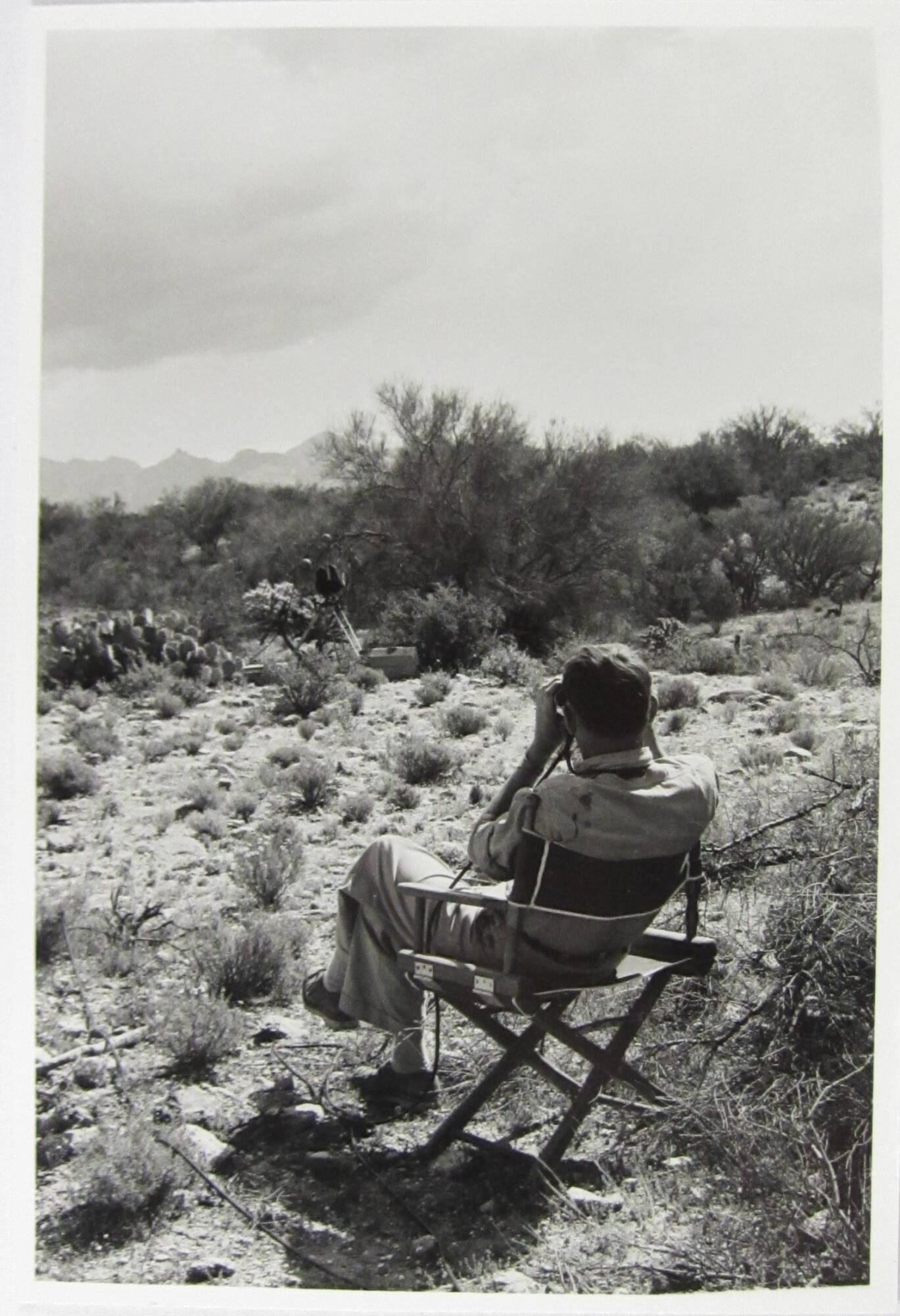 Eliot Porter, Arizona, Watching the Birdie