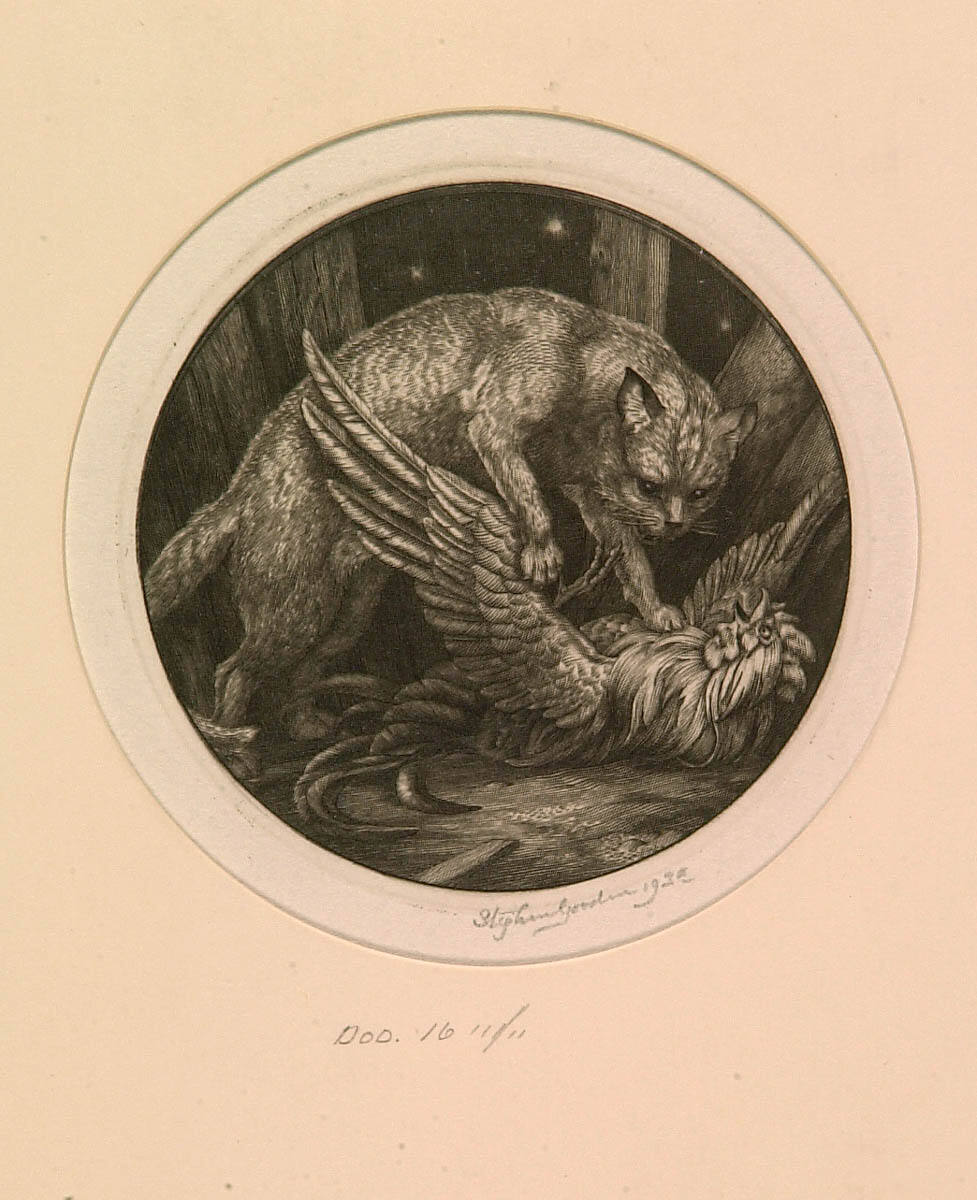 Cat and Cock
