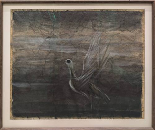 Plover by the Sea