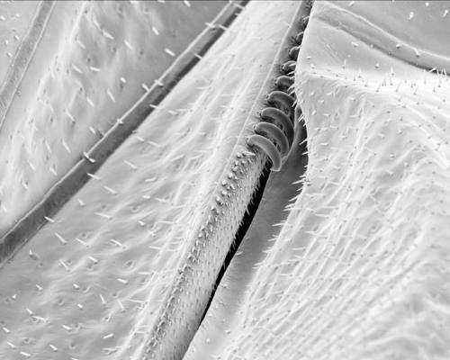 Image provided by donor - not for public use.