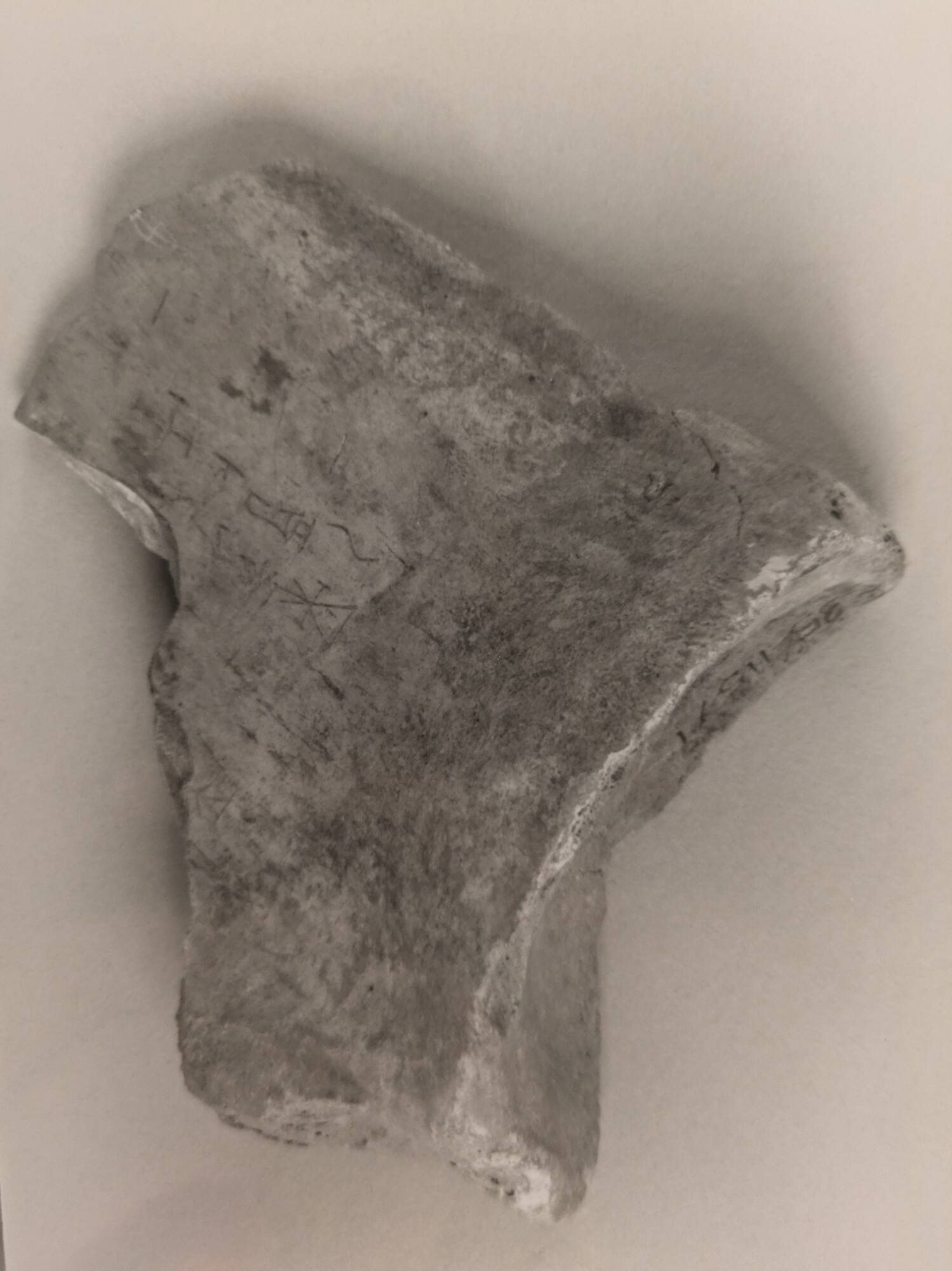 Inscribed Oracle Bone