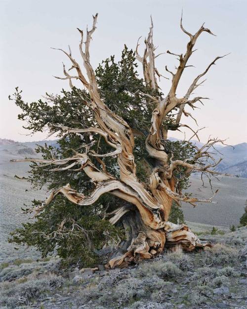 Image provided by gallery - not for public use.