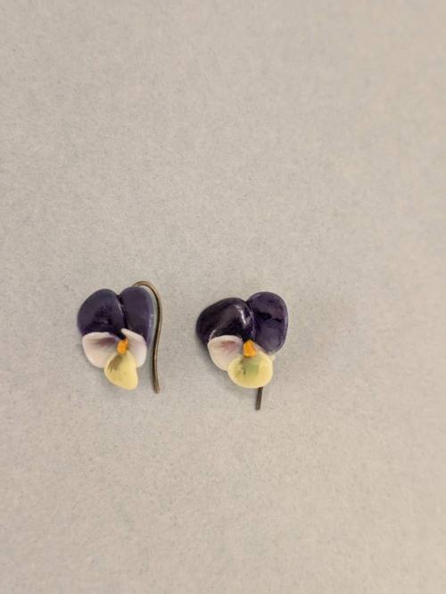 Pair of Earrings