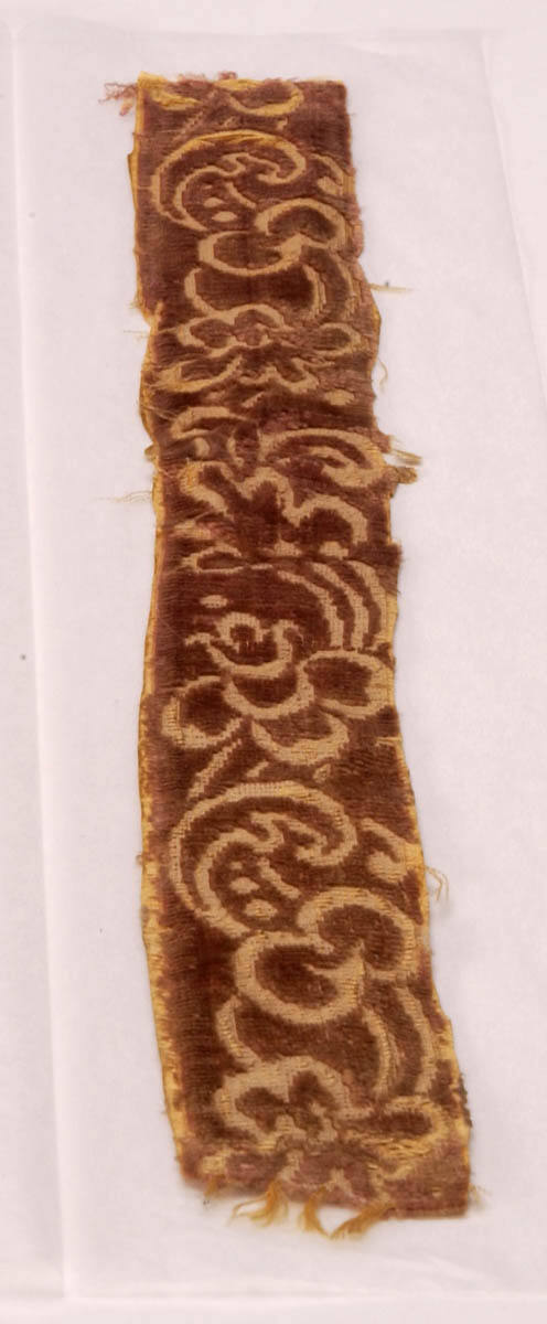 Fragment