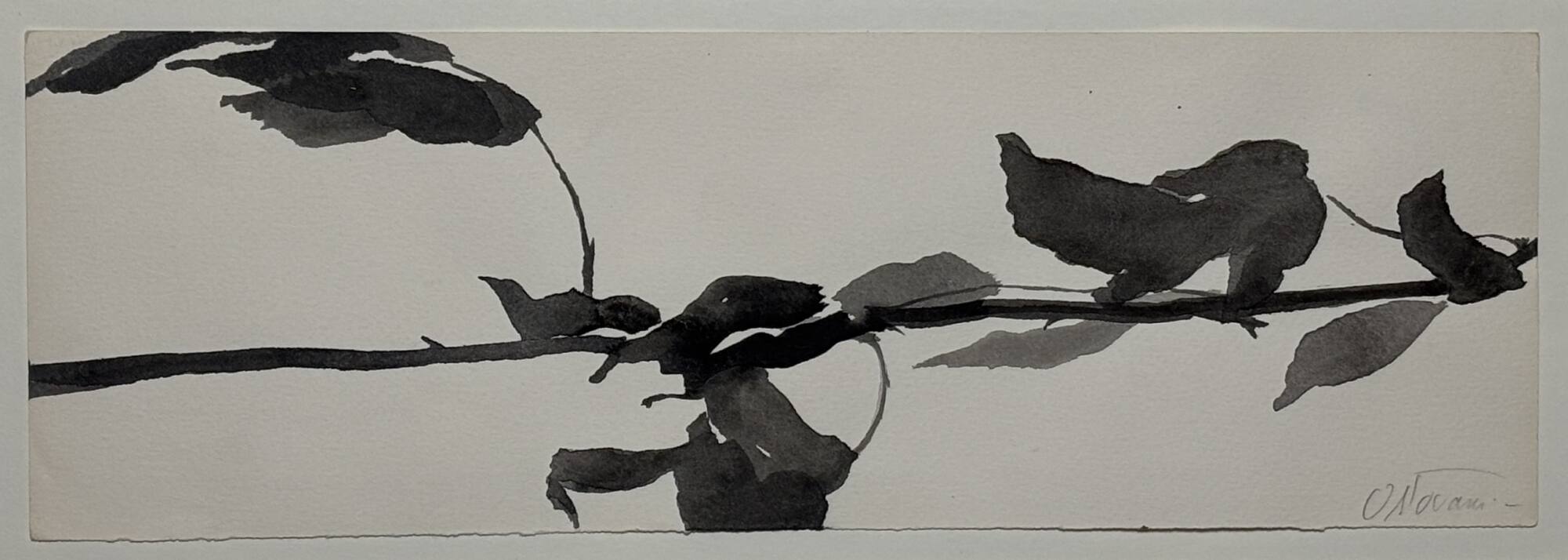 Study for Goldberg Variations