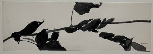Study for Goldberg Variations