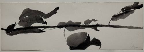 Study for Goldberg Variations