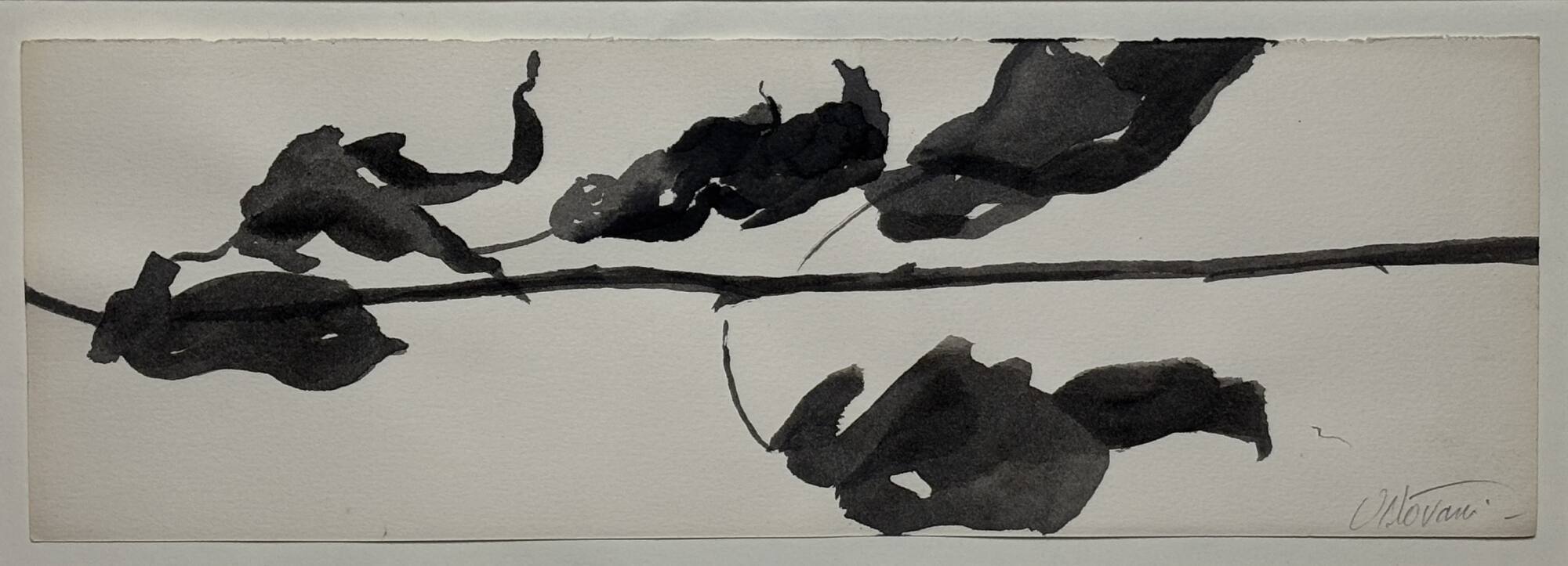 Study for Goldberg Variations