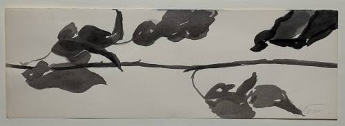 Study for Goldberg Variations