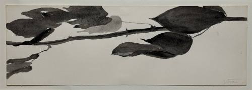 Study for Goldberg Variations