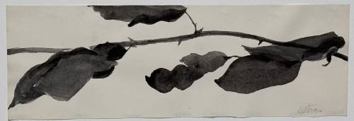 Study for Goldberg Variations