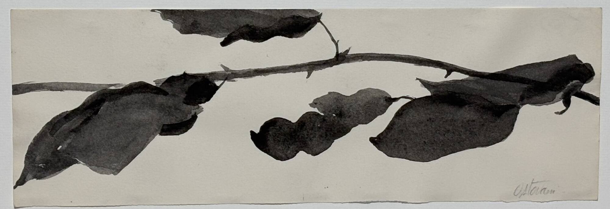 Study for Goldberg Variations
