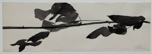 Study for Goldberg Variations
