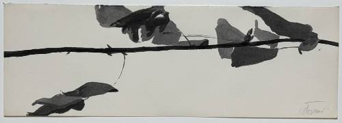 Study for Goldberg Variations