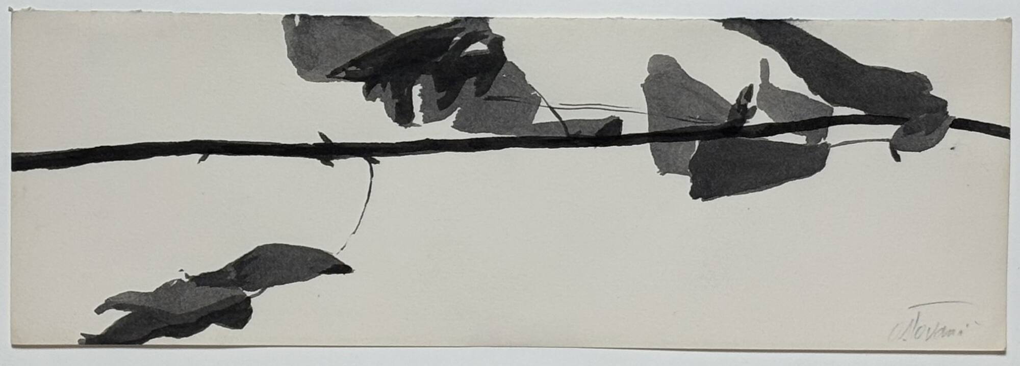 Study for Goldberg Variations