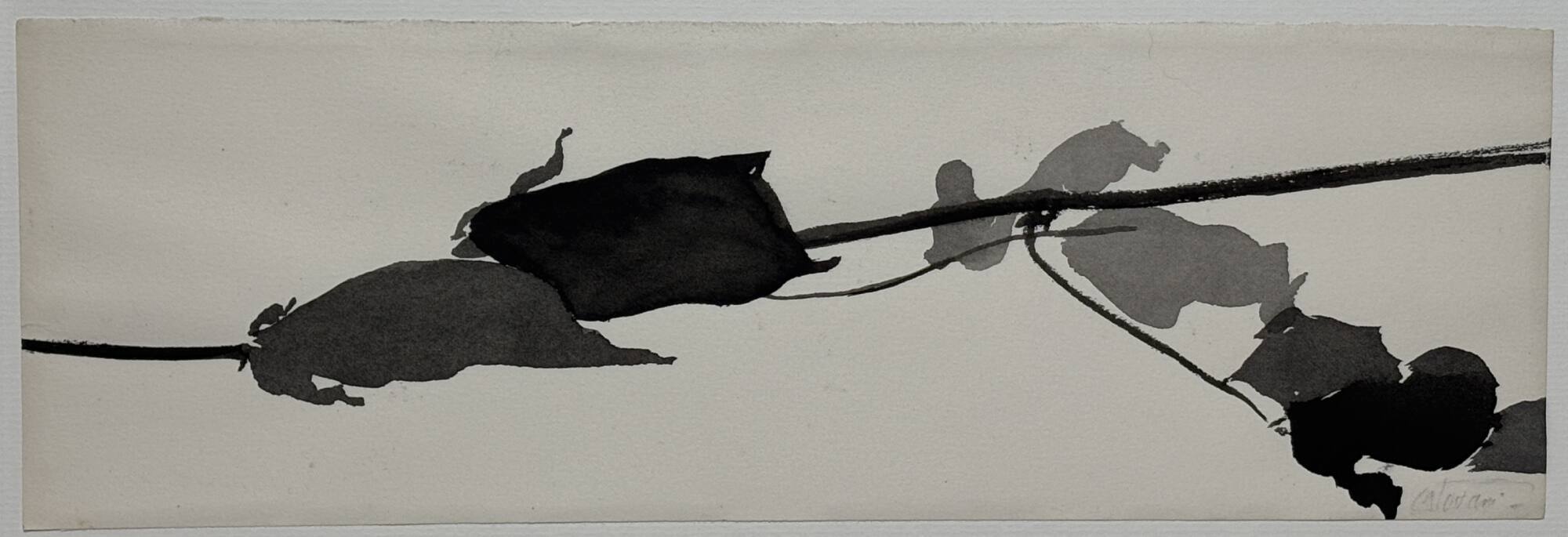 Study for Goldberg Variations