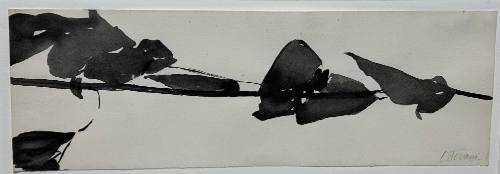Study for Goldberg Variations