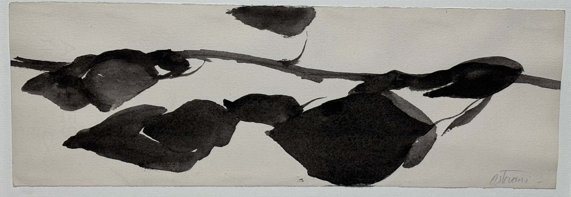Study for Goldberg Variations