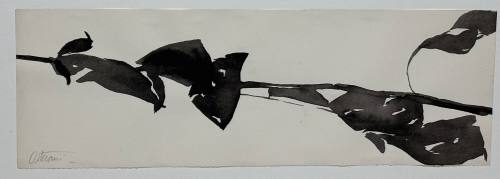 Study for Goldberg Variations