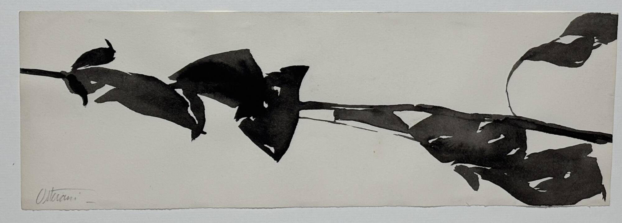 Study for Goldberg Variations