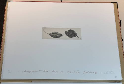 Fragment for the Aria of Goldberg Variations II