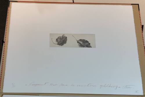 Fragment for the Aria of Goldberg Variations VI