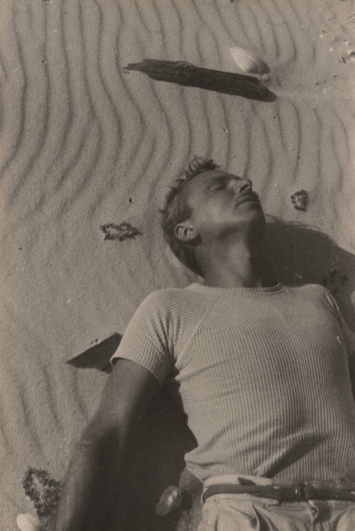 Jared French, Fire Island