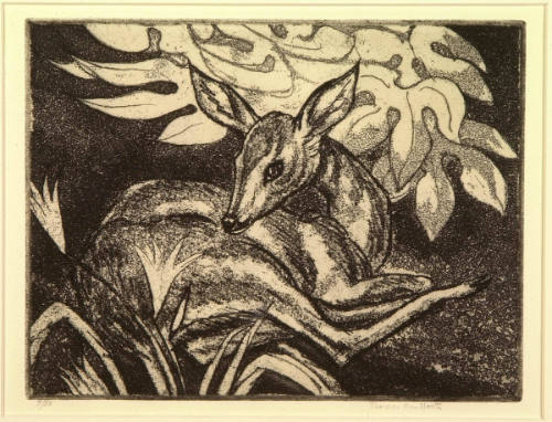 Doe and Lillies