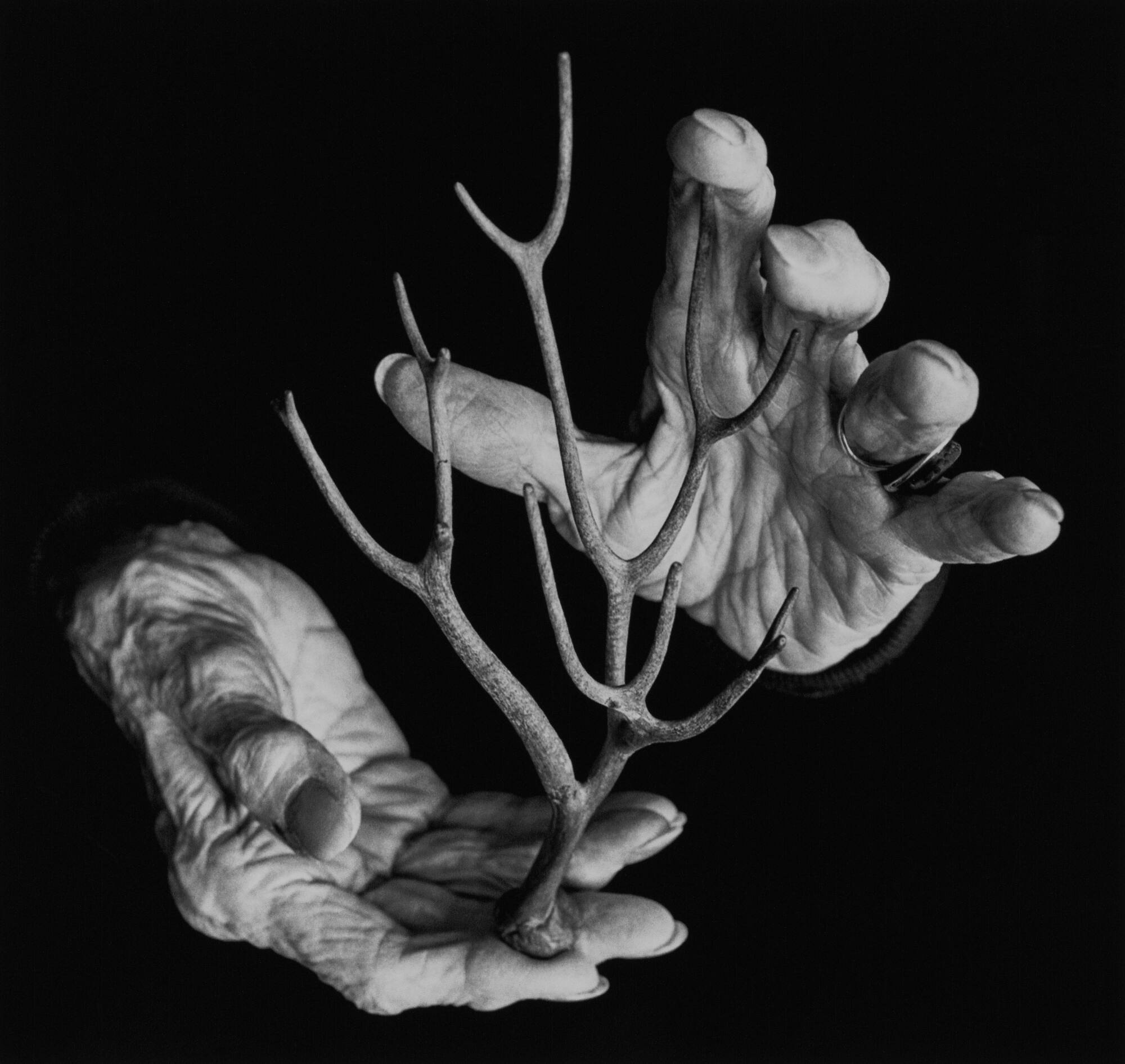 Theatre of the Hand