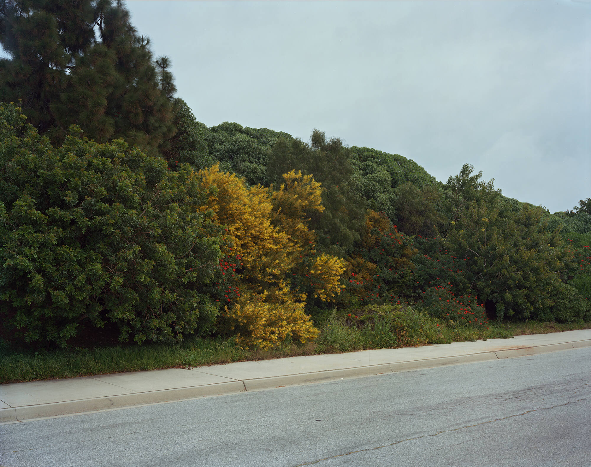 Image provided by artist