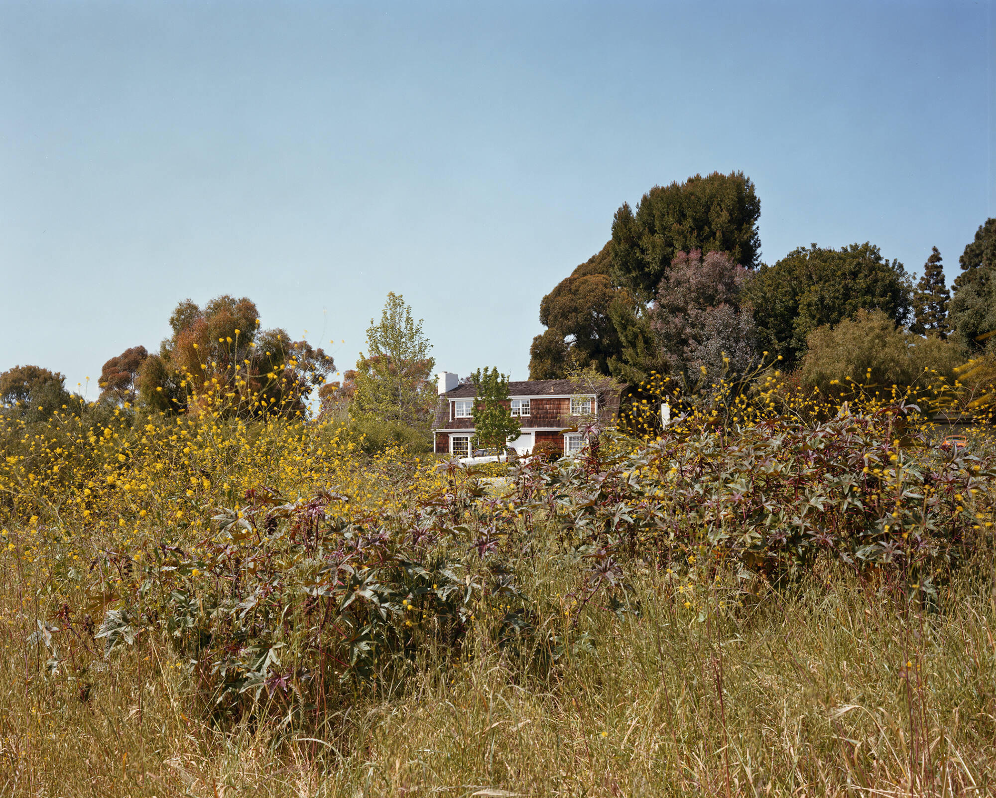 Image provided by artist