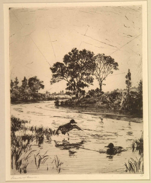 The River