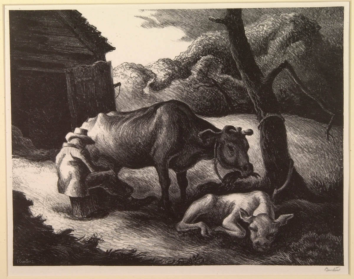 White Calf