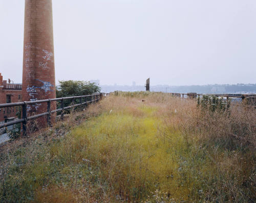 image overall
