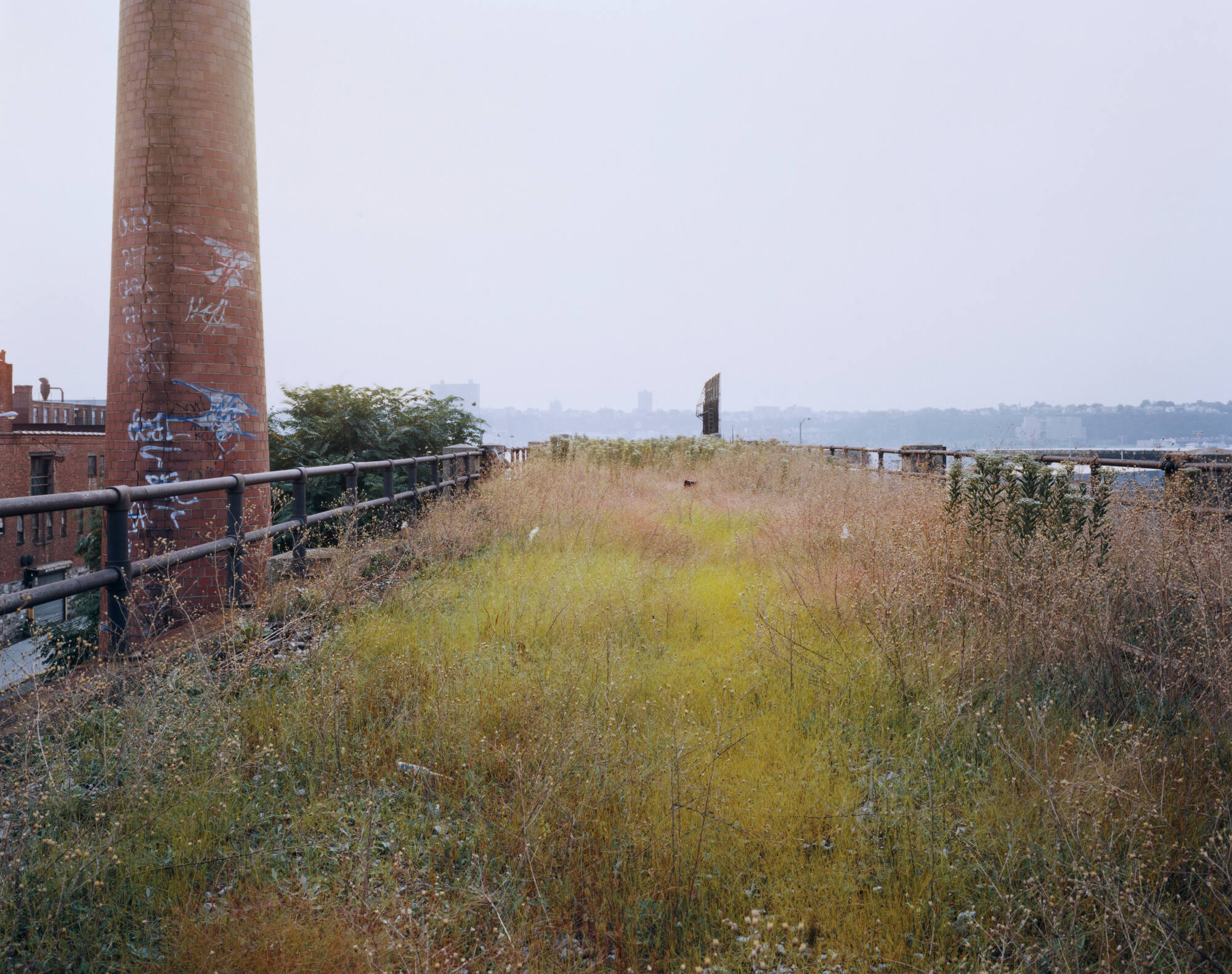 image overall