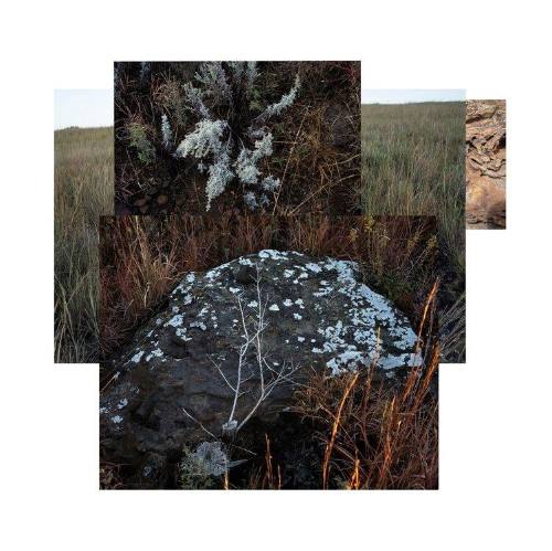 Dakota Sandstone, sage, mixed grasses, Ottawa County, Kansas