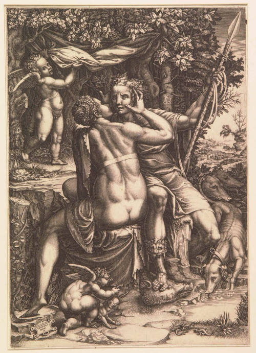 Venus and Adonis