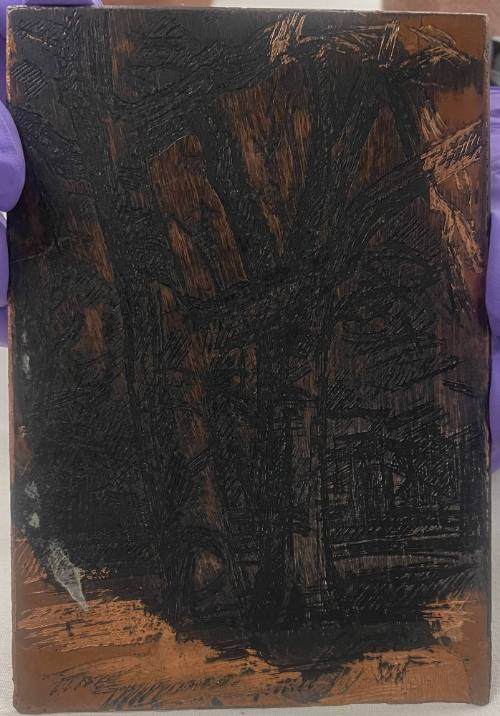Untitled (trees)