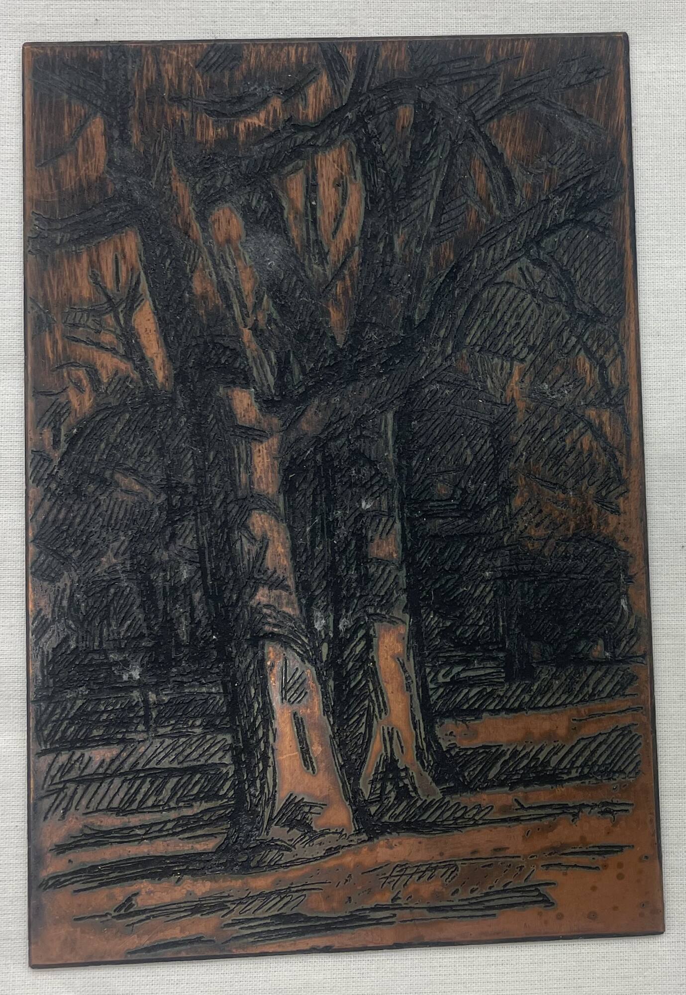 Trees (?)