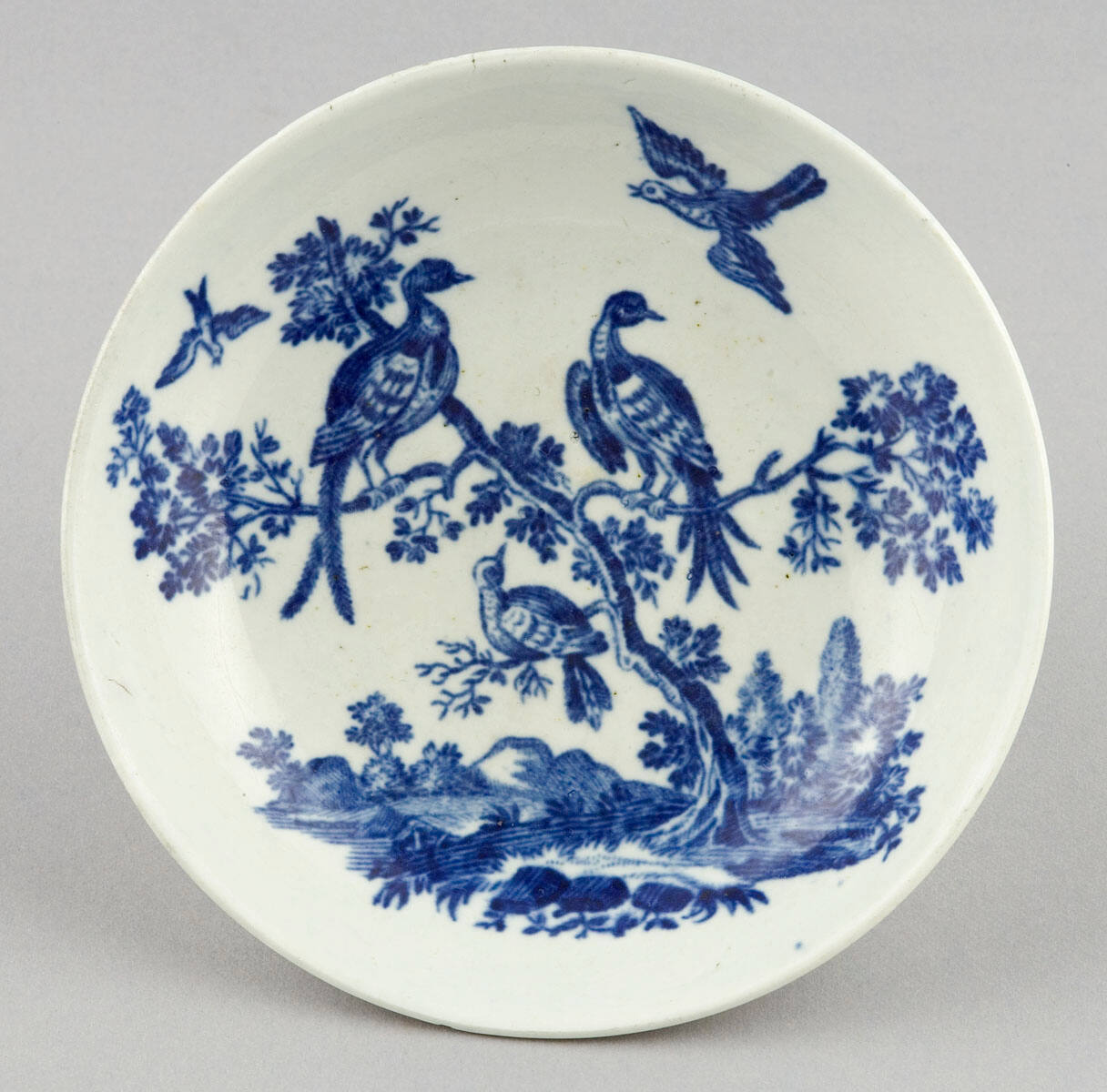Saucer