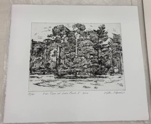 Pine Trees at Loose Park I