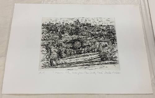 Kansas City, View from Penn Valley Park