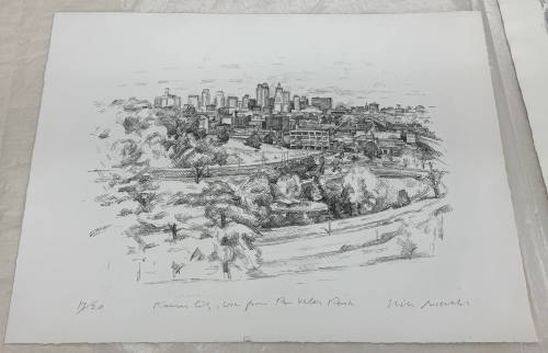 View from Penn Valley Park